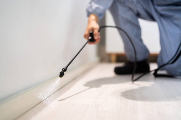 Certified termite inspector examining foundation in Hopelawn